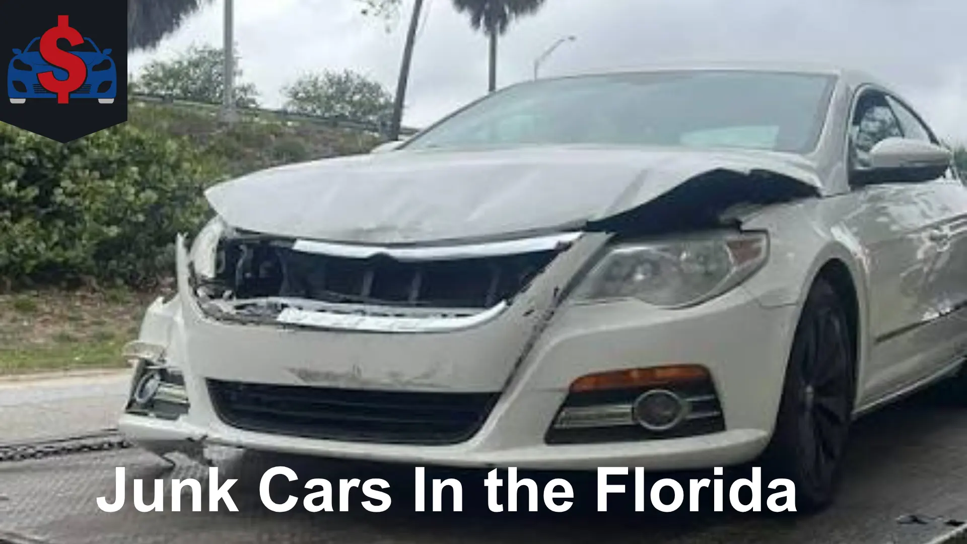 Junk Cars in Florida