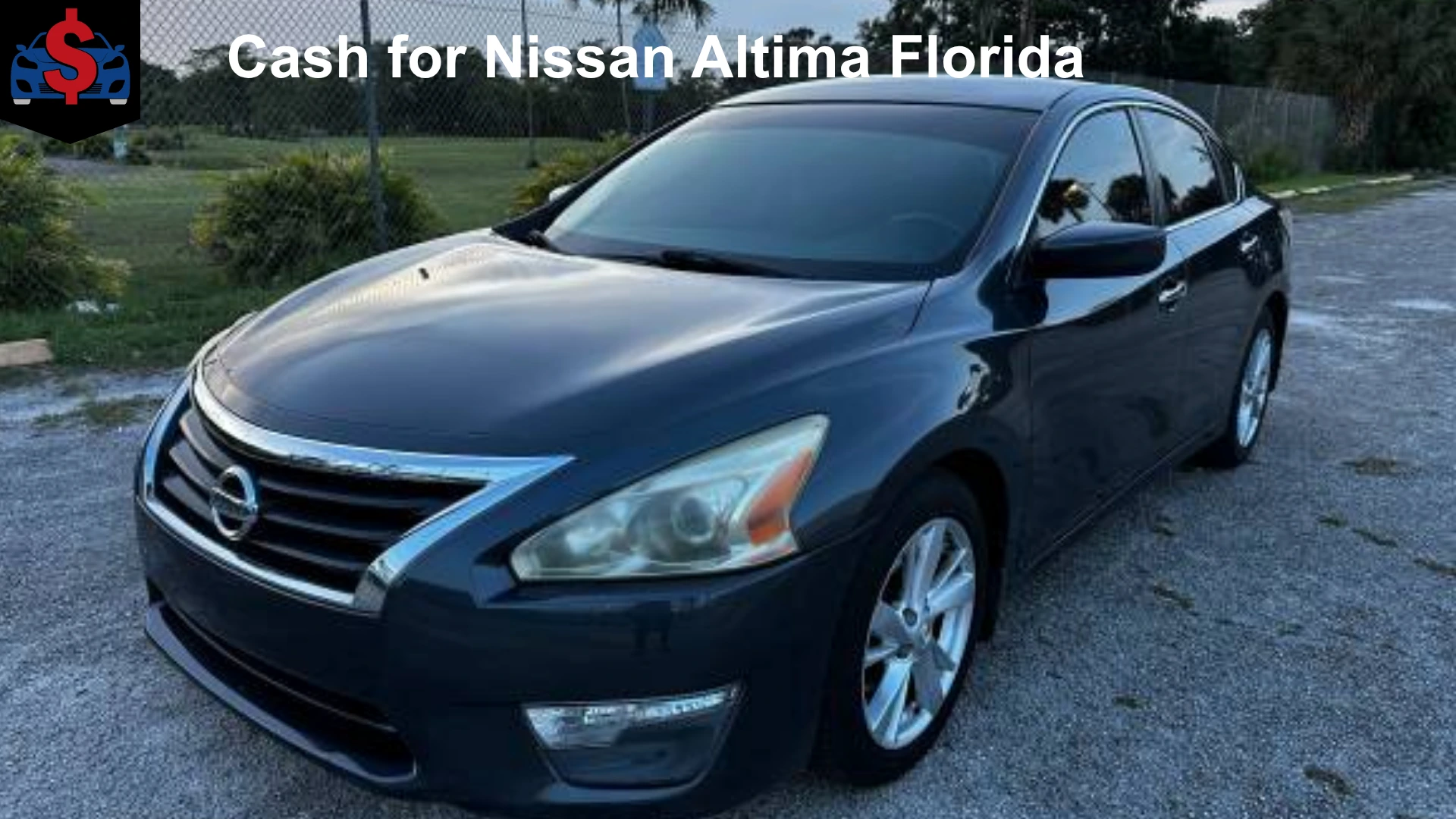 Cash for Nissan Altima in Florida | Sell Your Nissan Altima